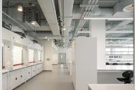 RCSI Project Connect